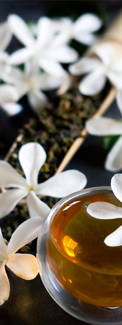 Jasmine with bamboo and blossoms